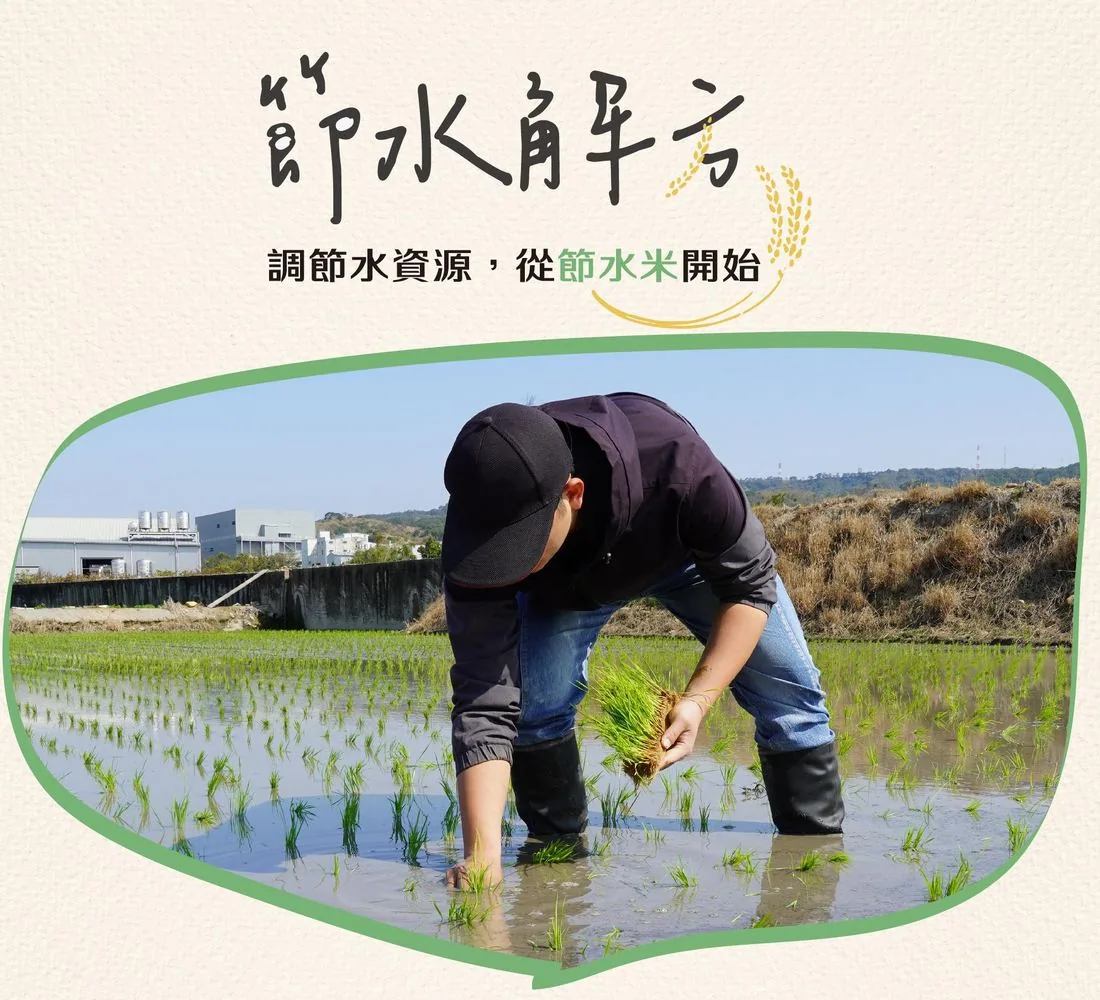 節水米